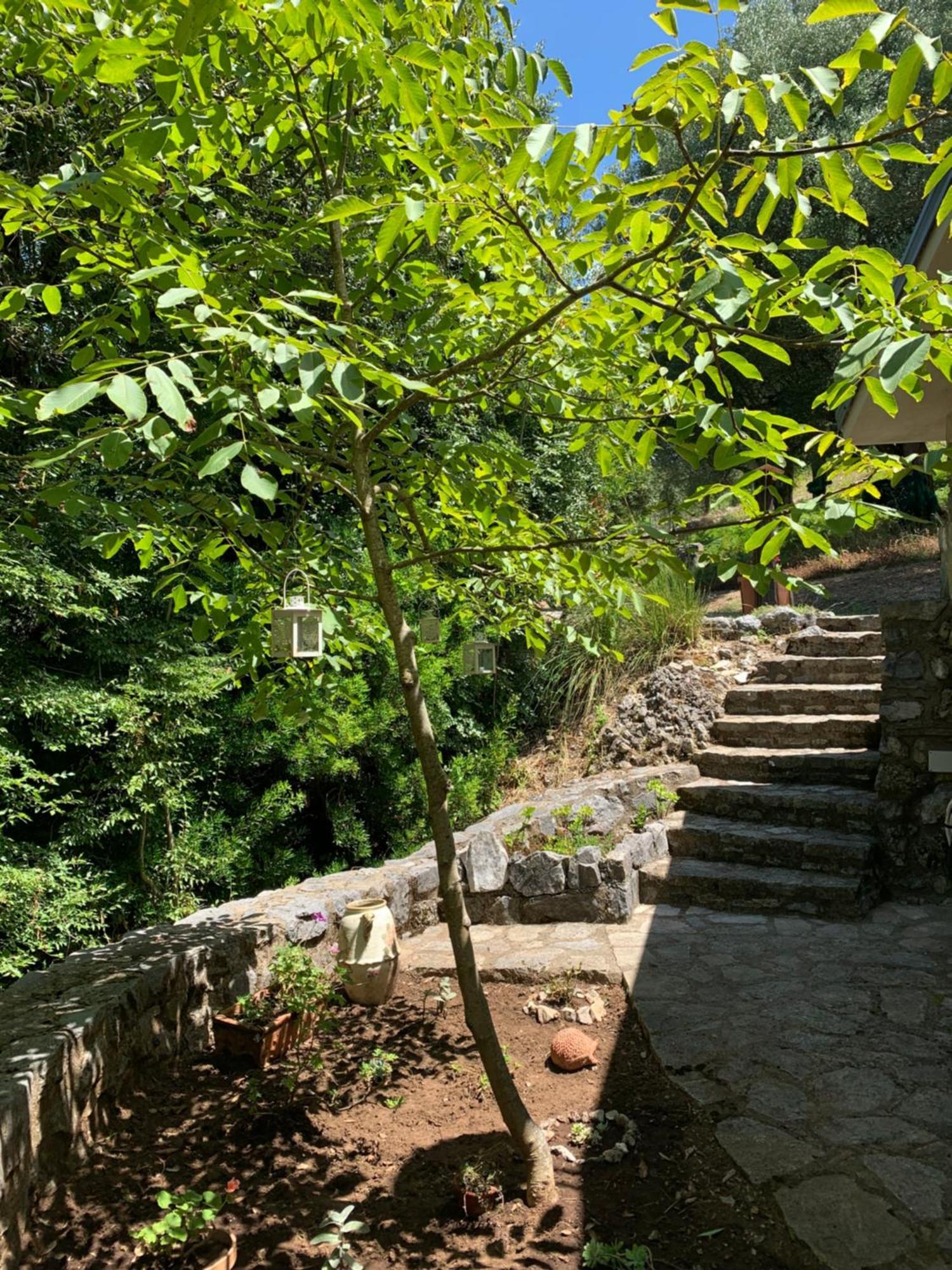 I Suoni Di Valle Martina Poderia 外观 照片