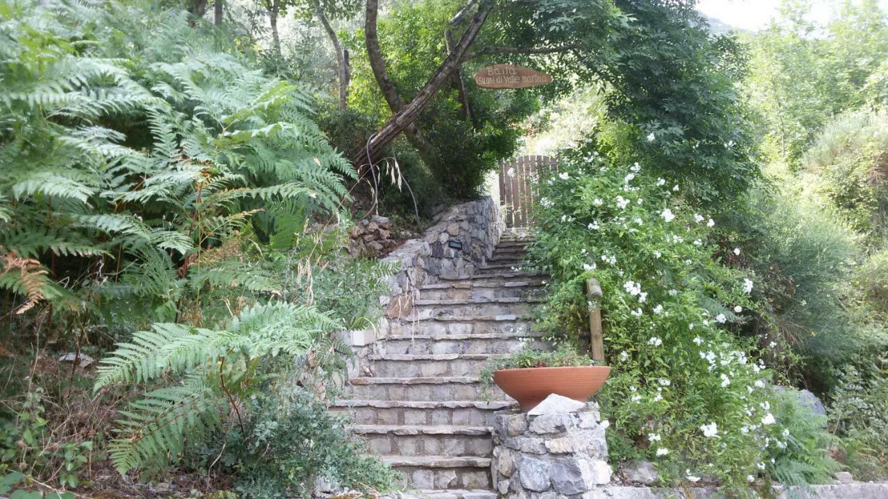 I Suoni Di Valle Martina Poderia 外观 照片