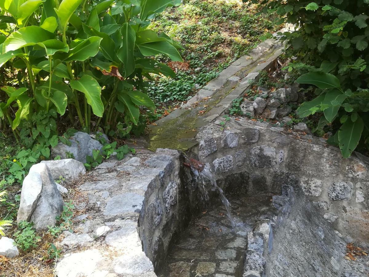 I Suoni Di Valle Martina Poderia 外观 照片