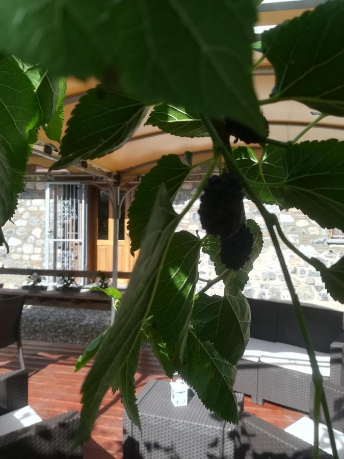I Suoni Di Valle Martina Poderia 外观 照片